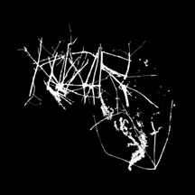 KLOR "Klor" Digi CD