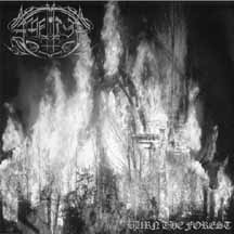 AMNION "Burn the Forest" 7" EP