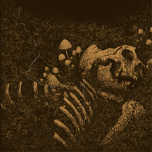 THRALL "Aokigahara Jukai" CD