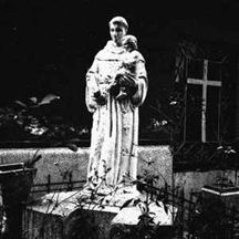 WAMPIRIC RITES / SATANIC COUNT / WINTERSTORM / DEMONIC WAR "Night of Consecration" 4 Way Split CD