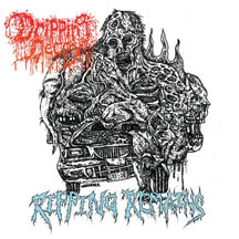 DRIPPING DECAY "Ripping Remains" CD