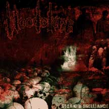 BLOODOLINE "Storm & Brilliance" CD