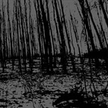 PSYKOTISK / VREDGAD "Split" CD