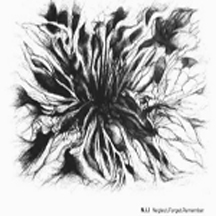 N.I.L. "Neglect.Forget.Remember" Digi MCD