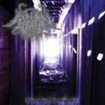 SYLVAN REALM "The Lodge Of Transcendence" CD