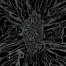 BLESSED BY PERVERSION "Between Roots and Darkness" CD