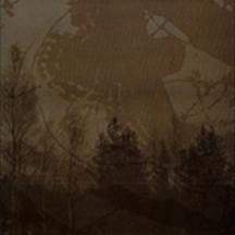 MORTUALIA / INMITTEN DES WALDES "Split" CD