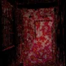 ELIMI "Asylum" CD