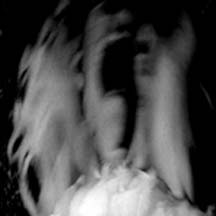 CRYSTALLINE DARKNESS / PESTILENCIA "Delirios" Split CD